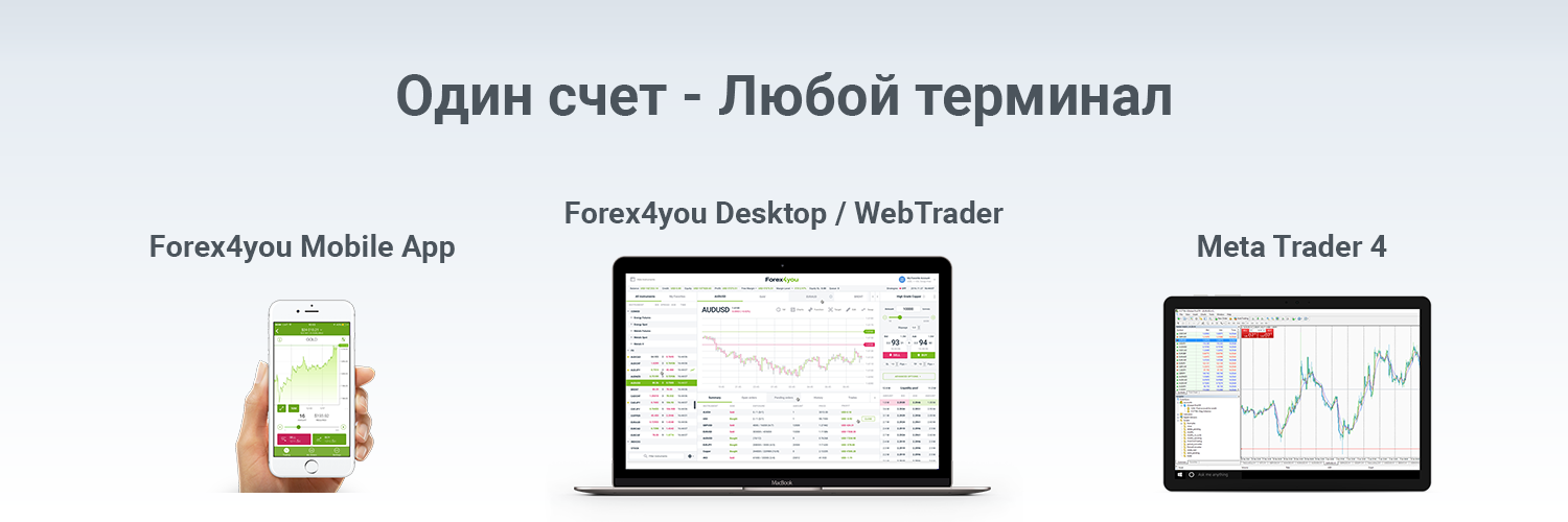 terminal forex4you